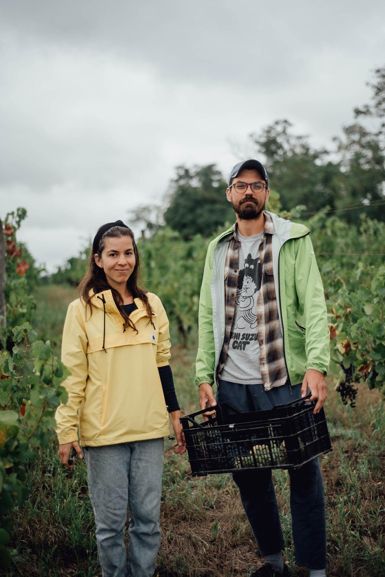 Kolònia 52 - Newcomer Wines