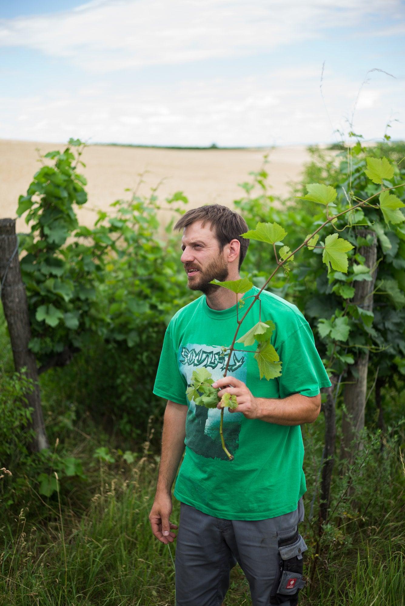 Michael Gindl - Newcomer Wines