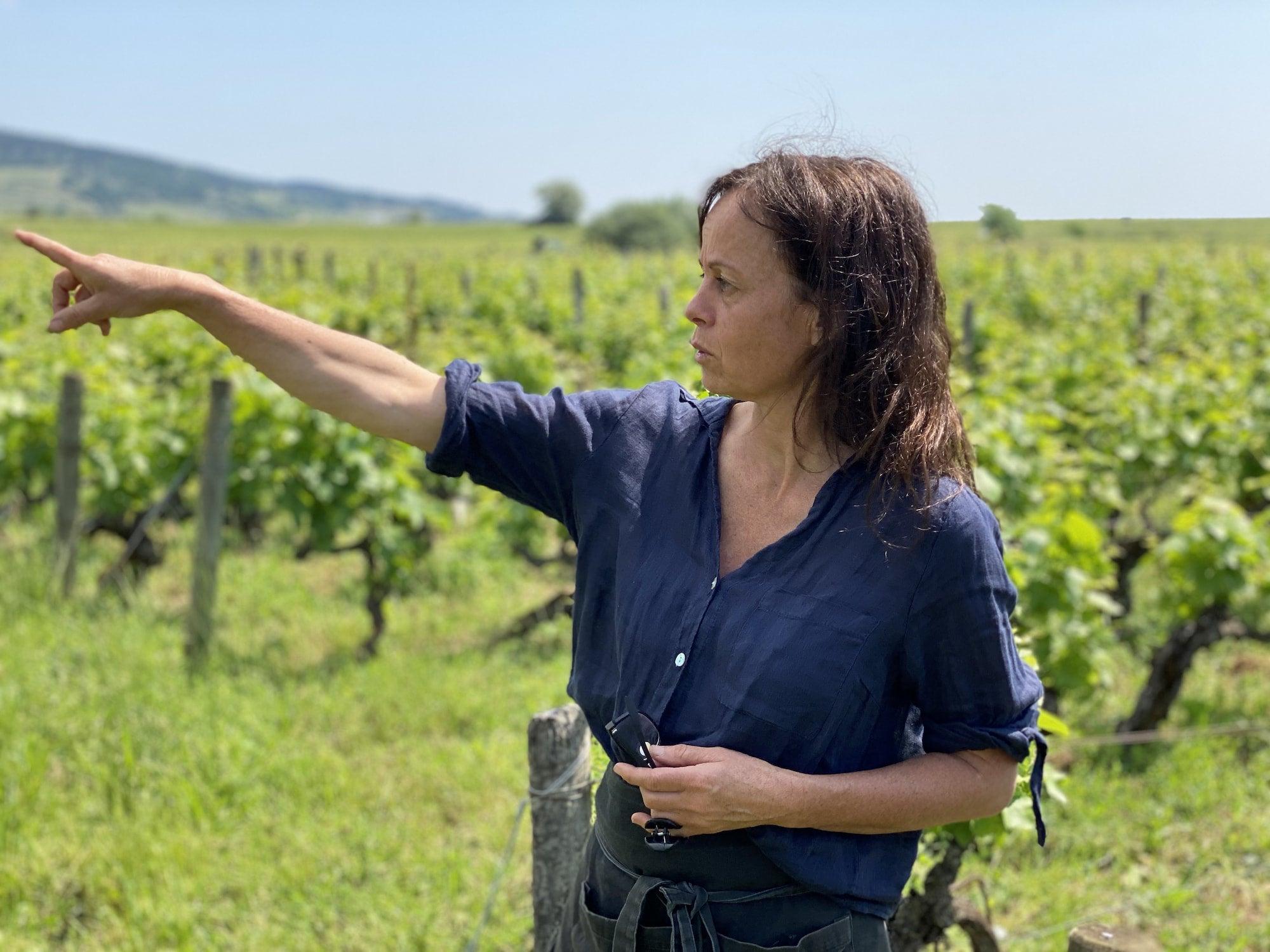 Domaine des Rouges Queues - Newcomer Wines