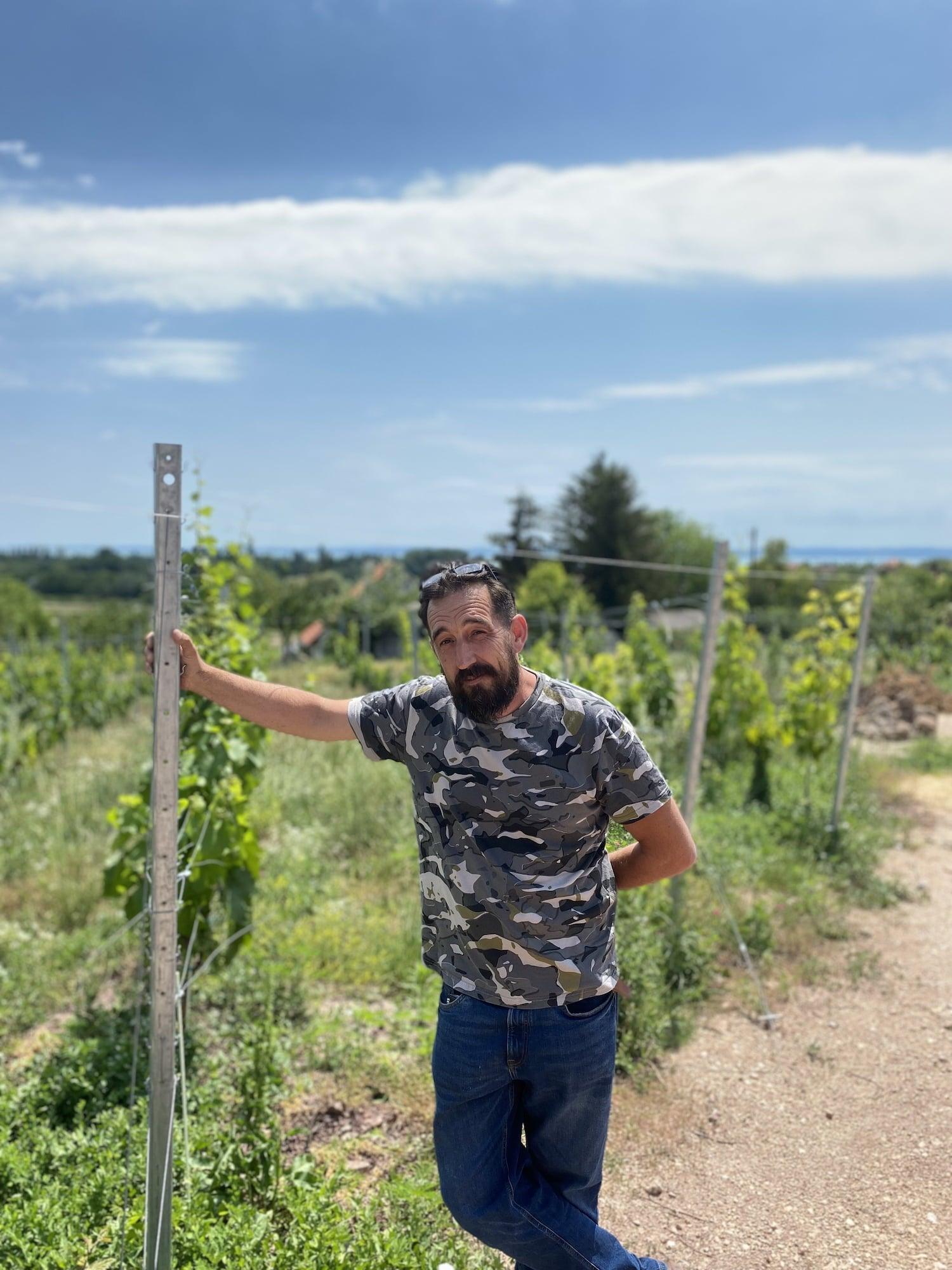 Attila Homonna - Newcomer Wines