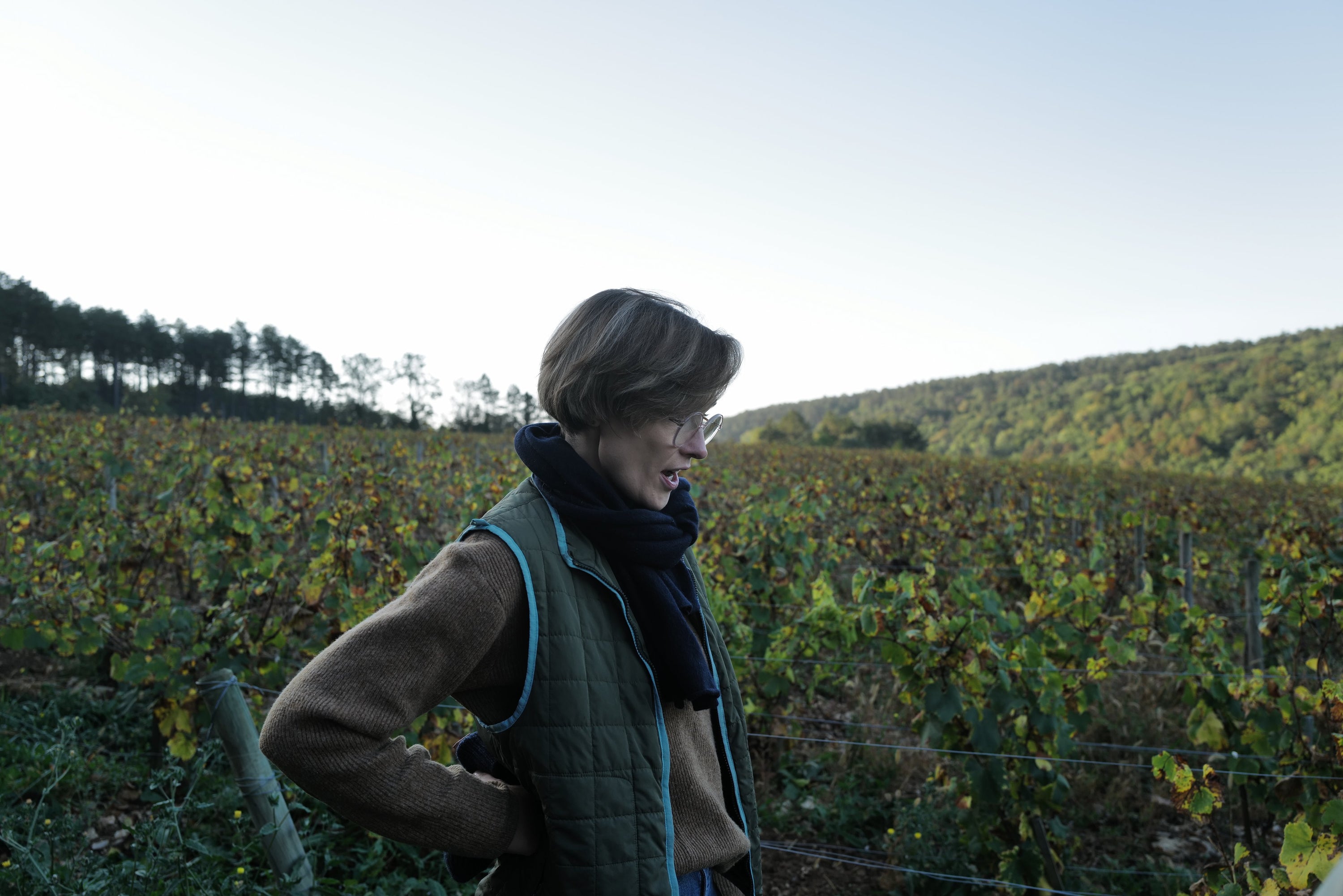 Les Horées | Catharina Sadde - Newcomer Wines