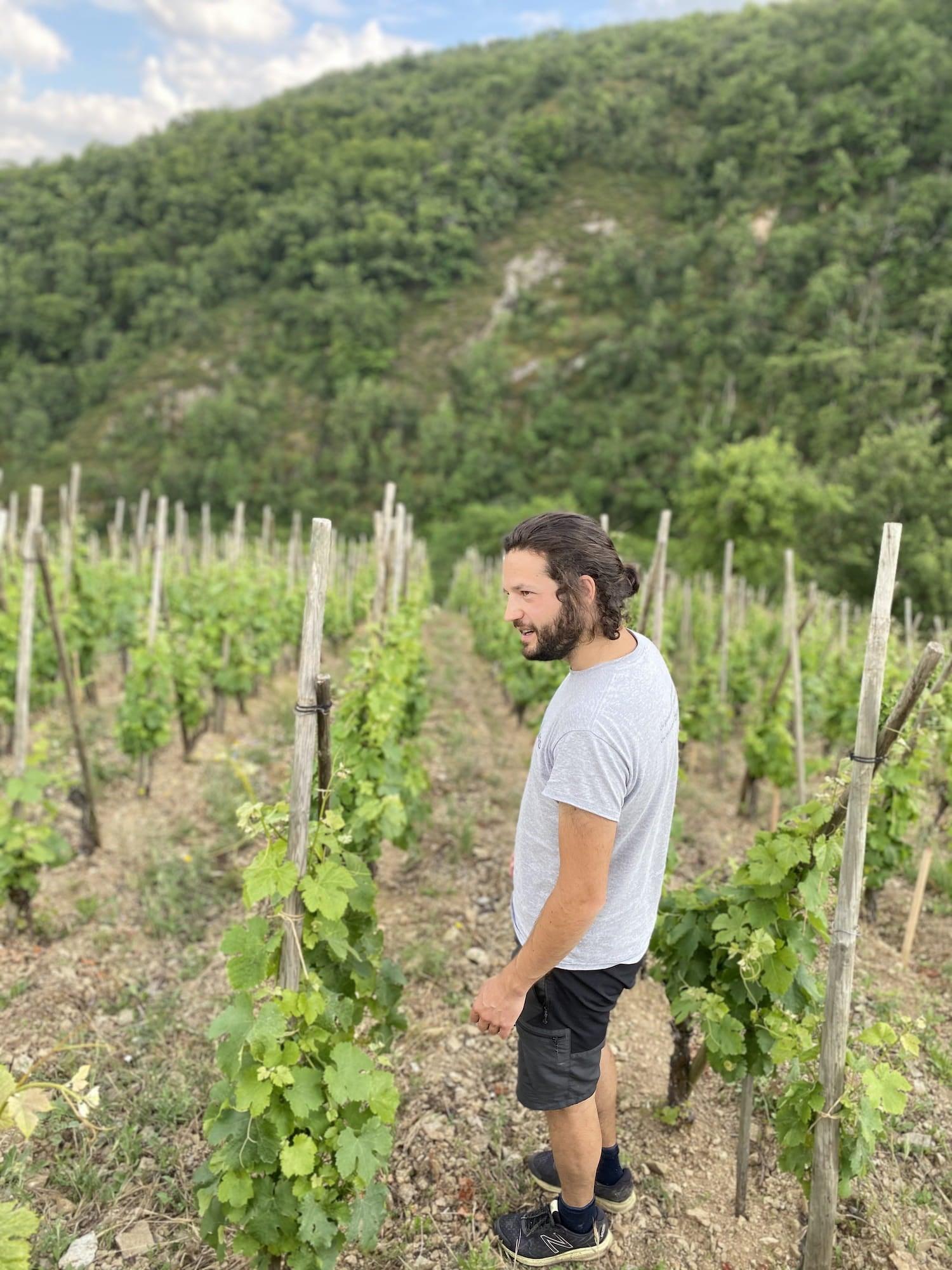 Simon Gastrein - Newcomer Wines