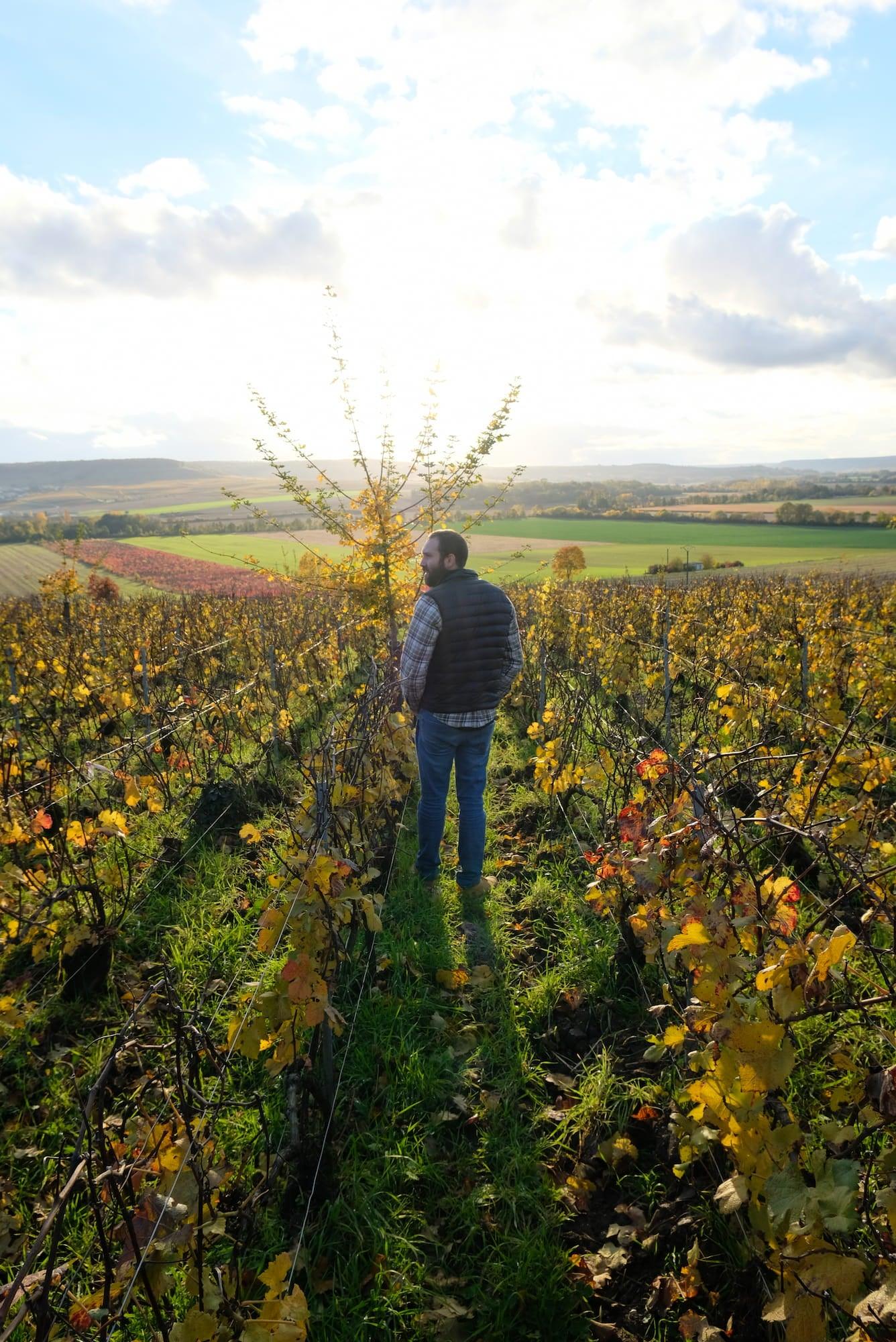 Flavien Nowack - Newcomer Wines