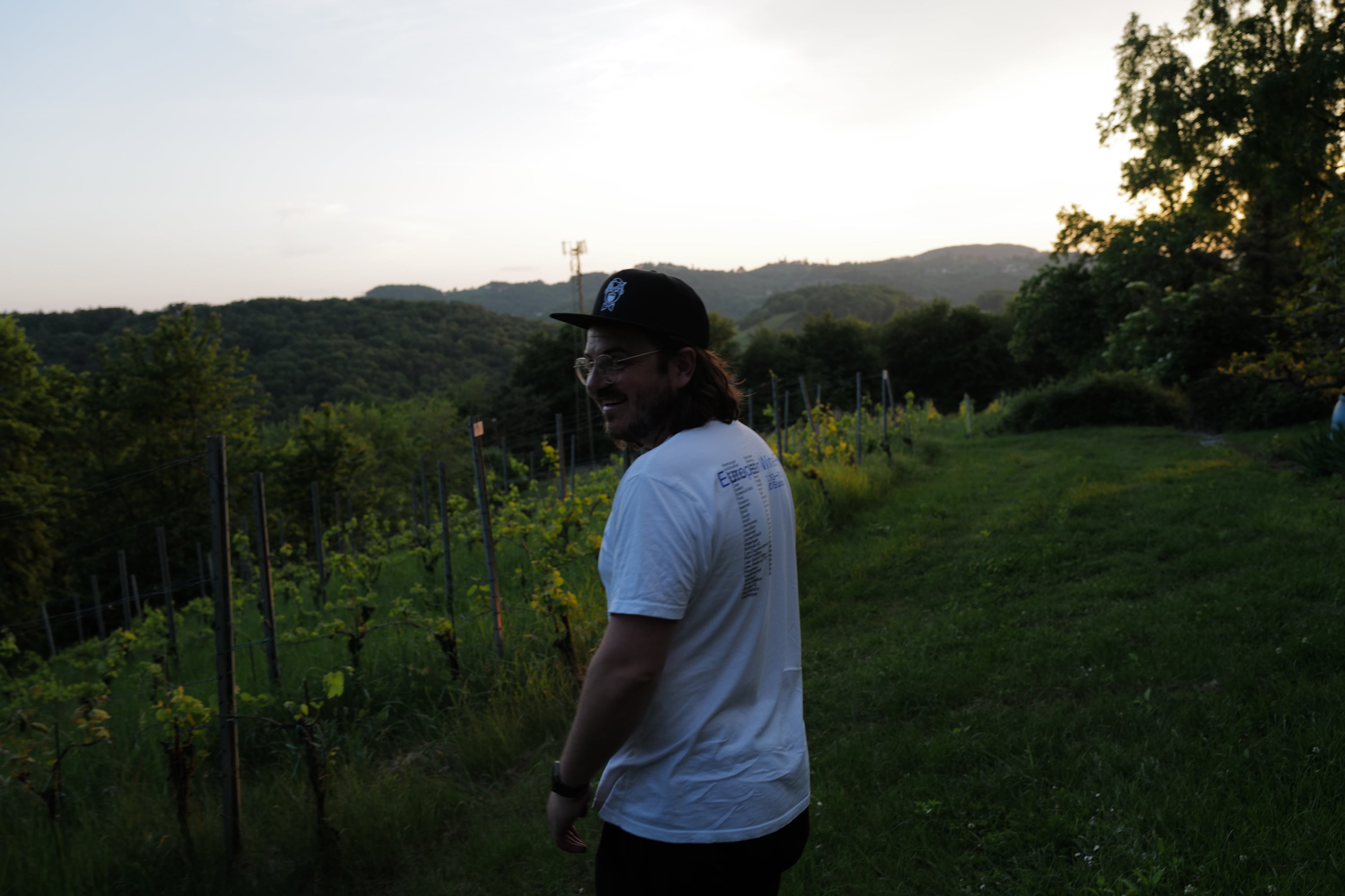 Wachstum König - Newcomer Wines