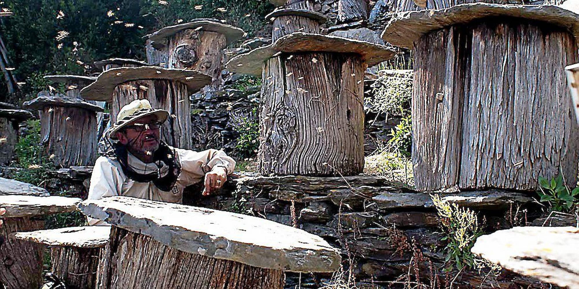 L'Arbre Aux Abeilles - Newcomer Wines