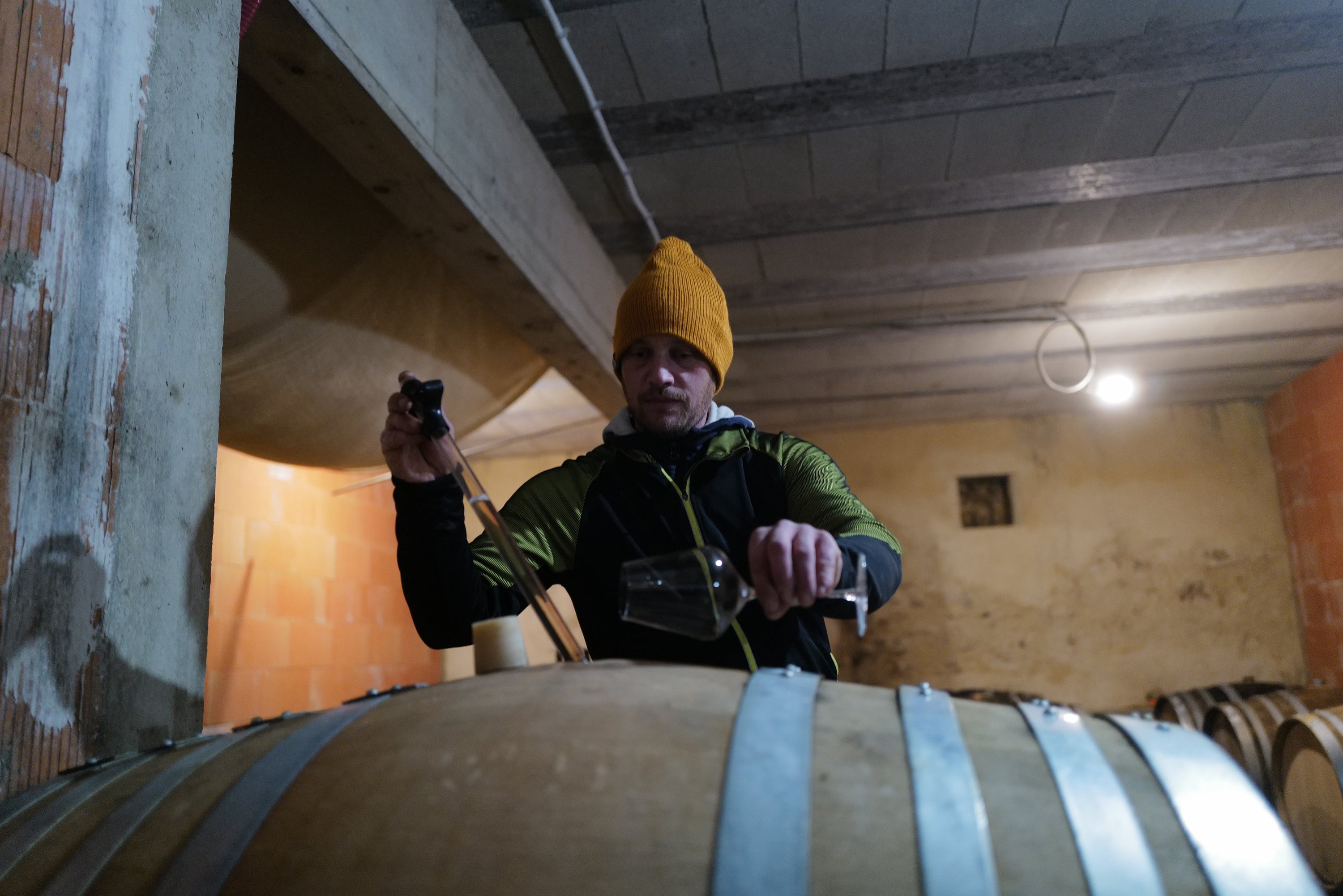 Thomas Perseval - Newcomer Wines