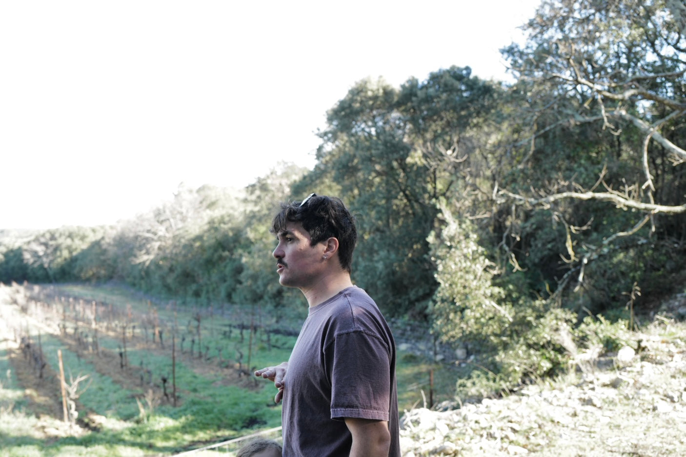 Olivier Cohen - Newcomer Wines