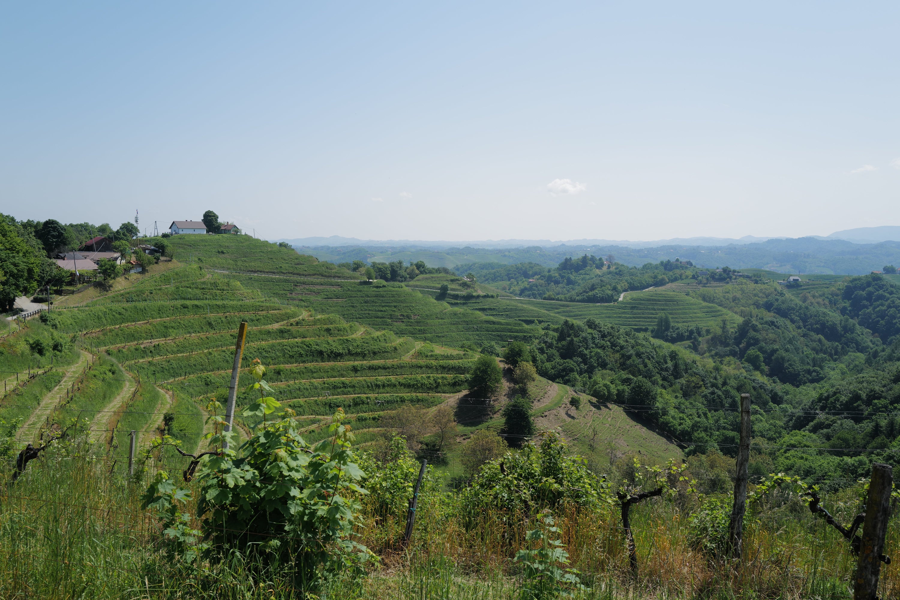 Štajerska Kollektiv