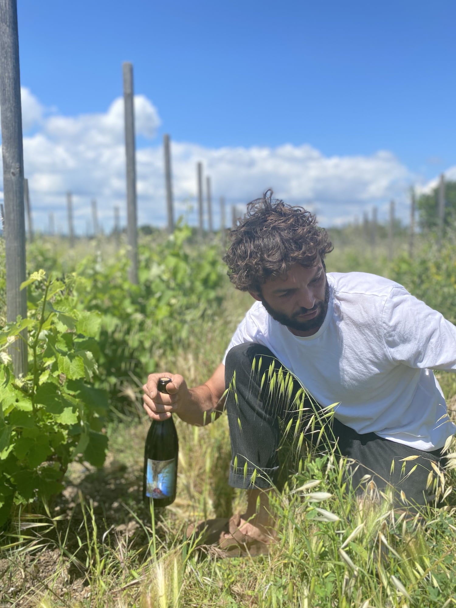 Les Frères Soulier - Newcomer Wines