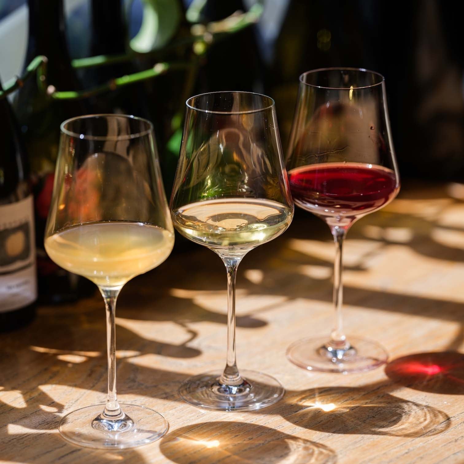 Gabriel Glas | Glassware  Newcomer Wines