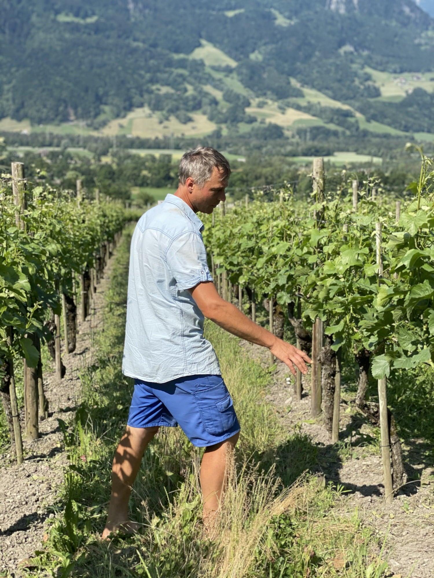 Christof Ruof - Newcomer Wines