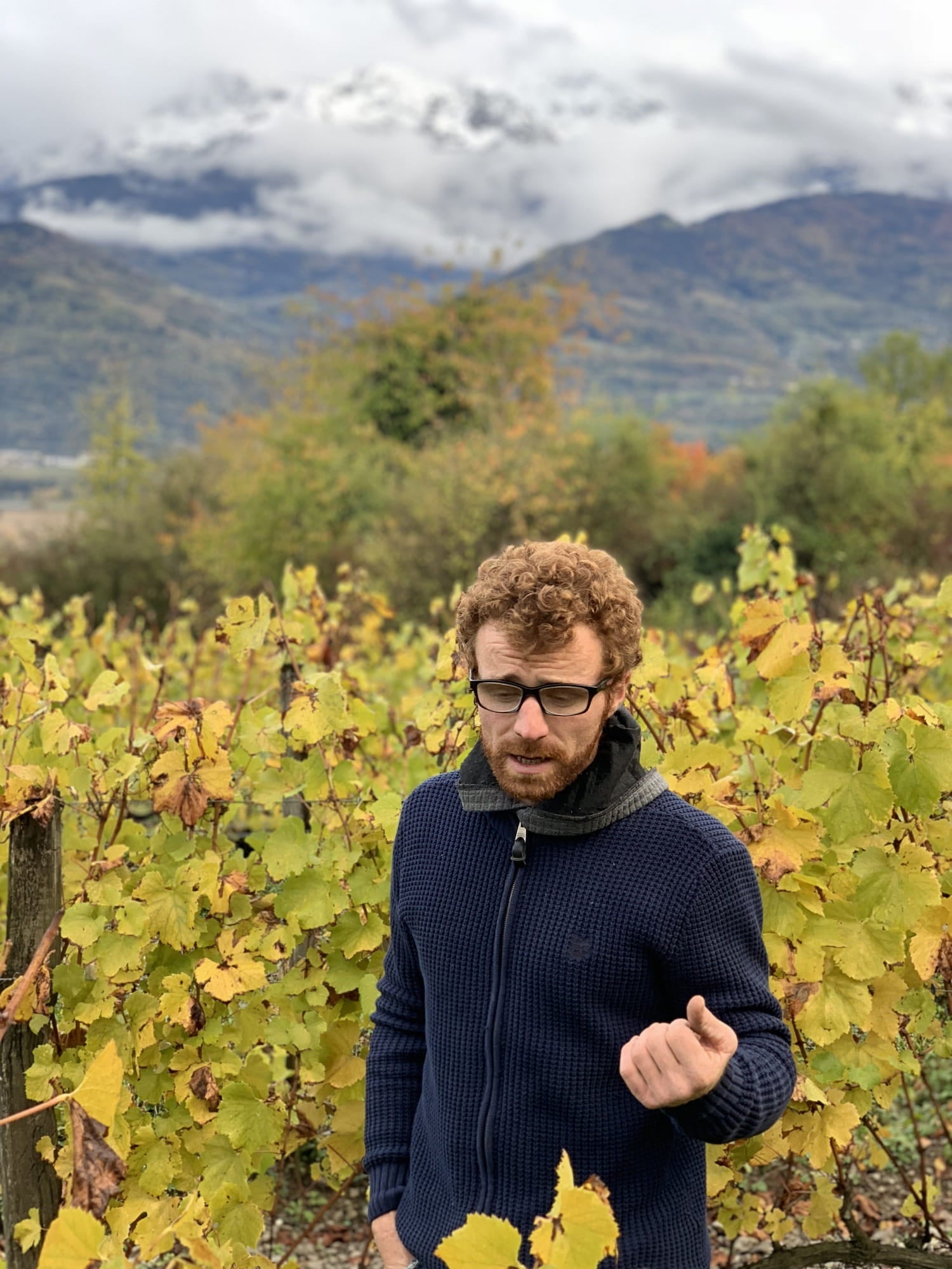 Thomas Finot - Newcomer Wines