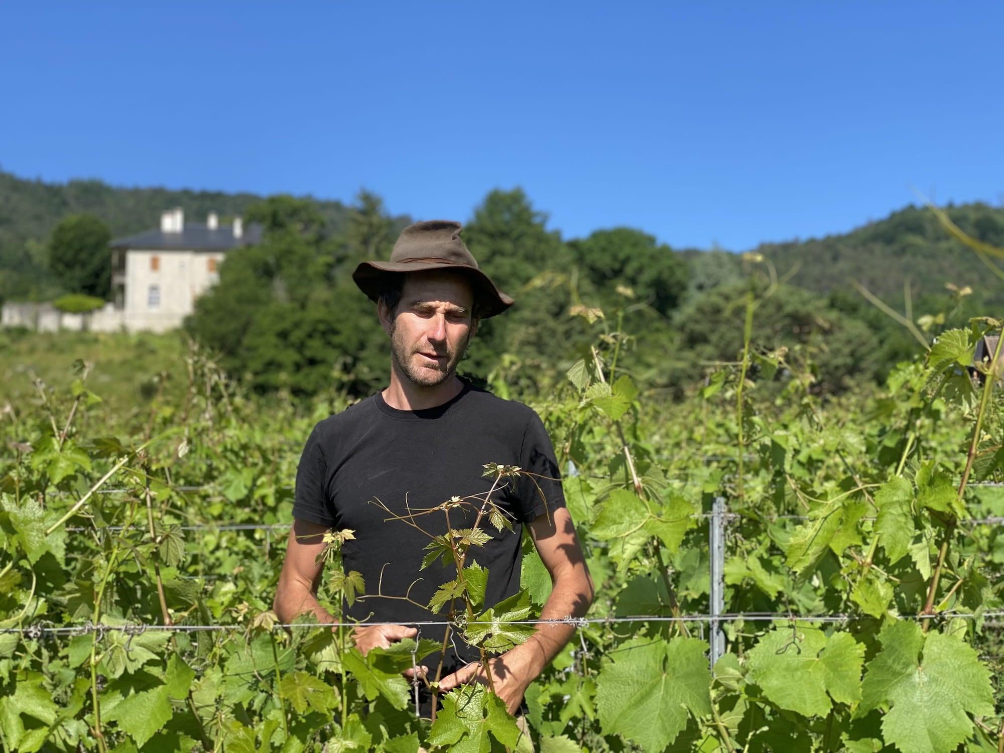 Mathieu & Camille Apffel - Newcomer Wines