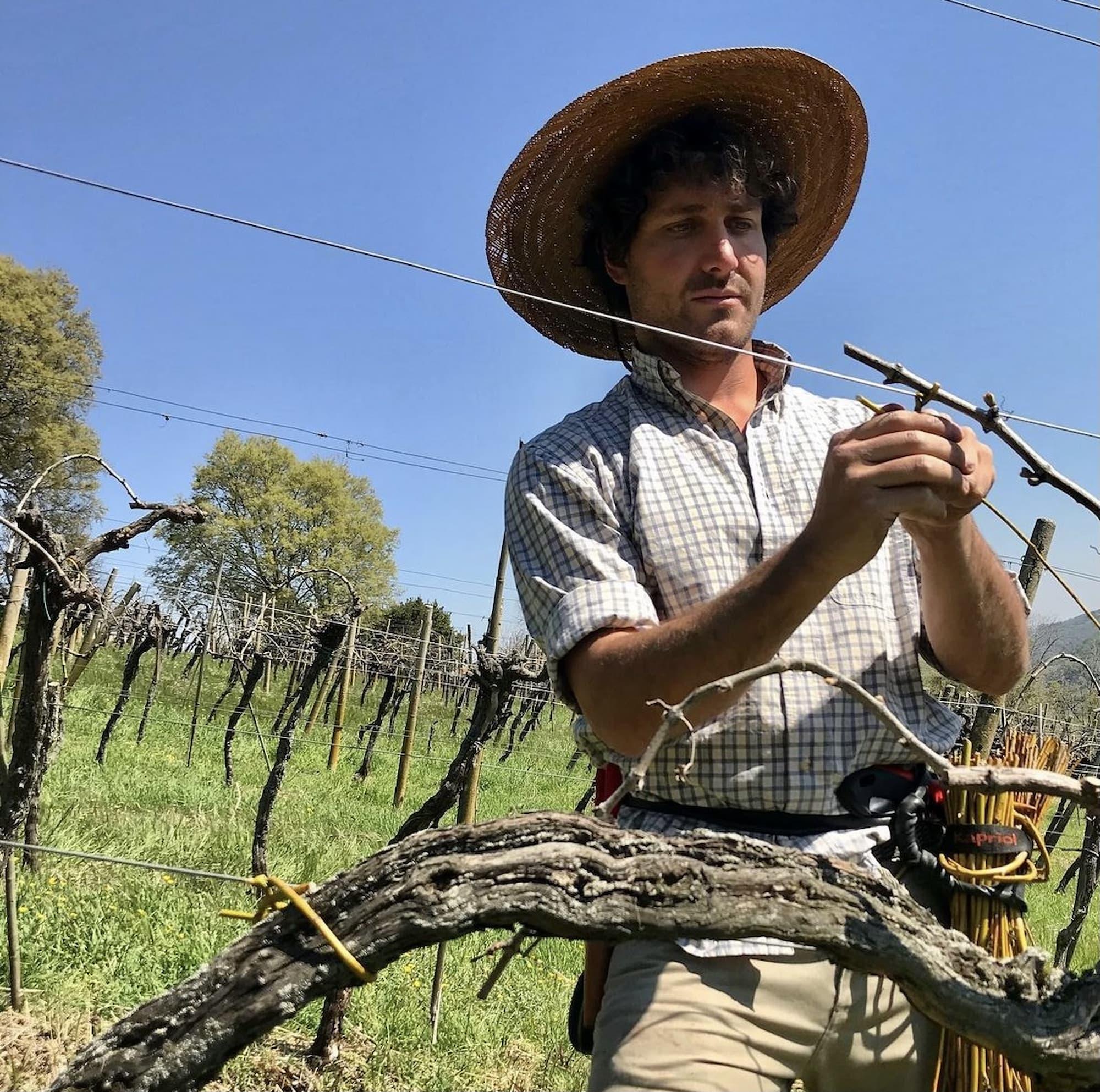 Indomiti Vini | Simone Ambrosini - Newcomer Wines