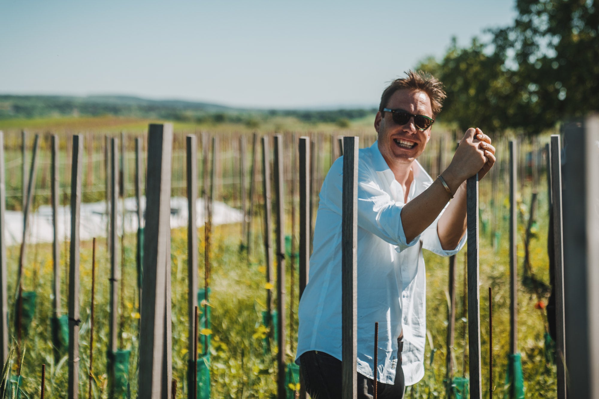 Negotians Vinarius - Newcomer Wines