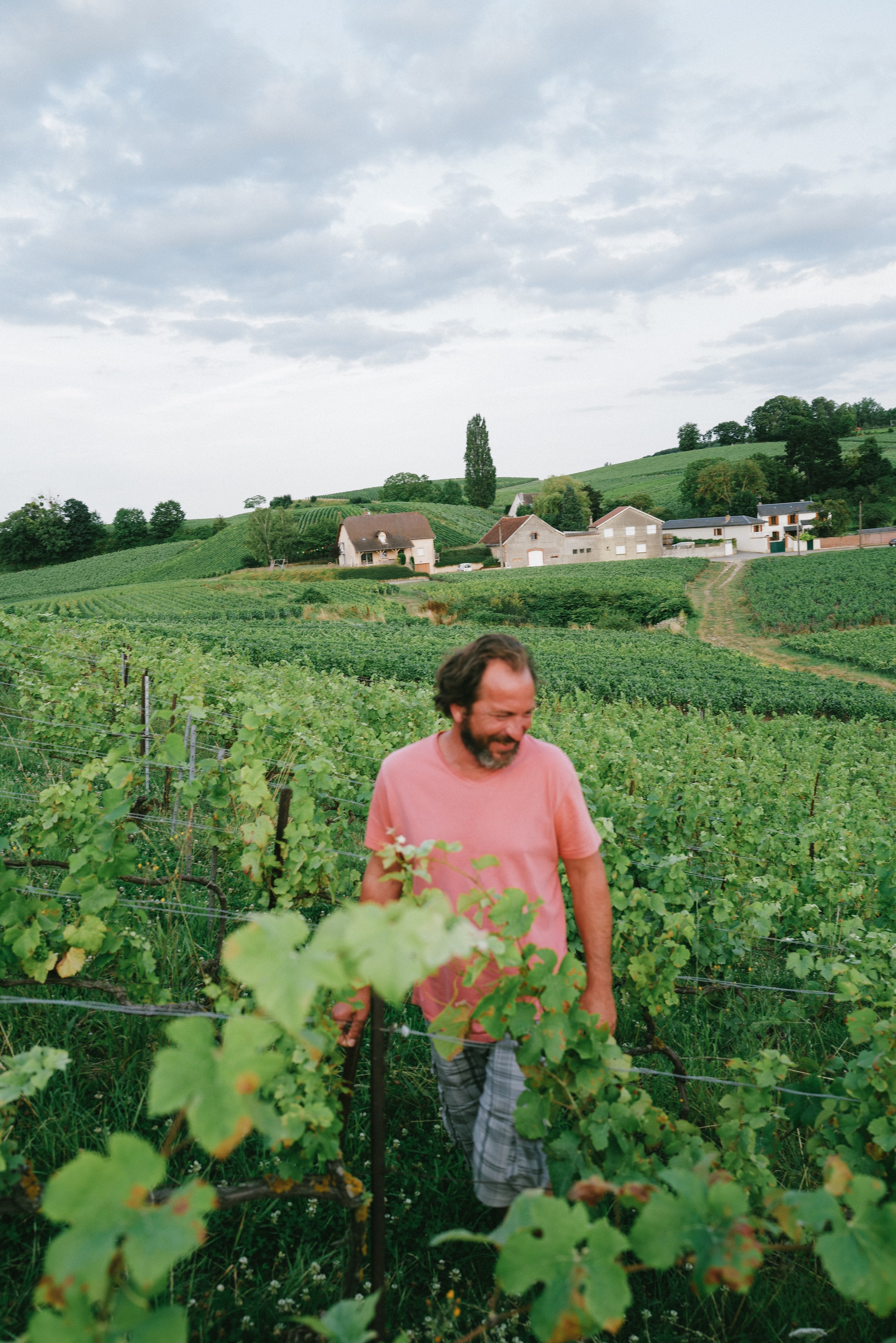 Timothée Stroebel - Newcomer Wines