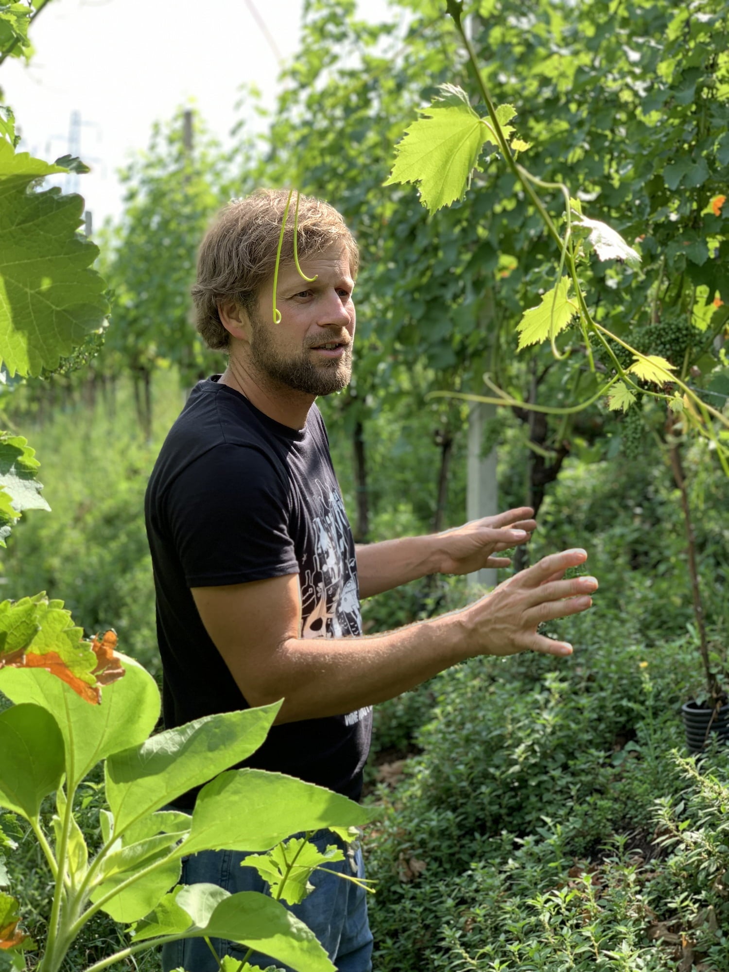 Pranzegg | Martin Gojer - Newcomer Wines