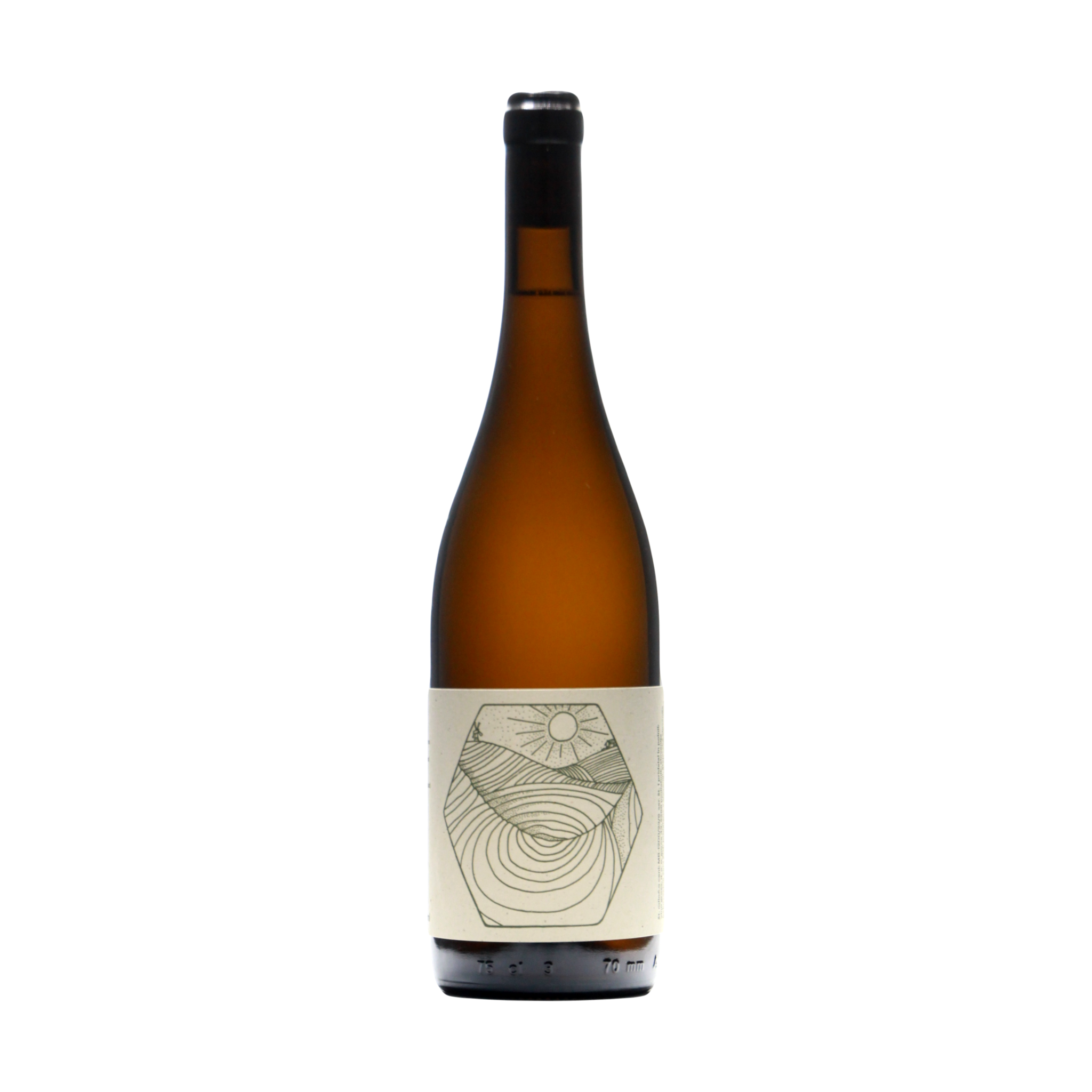 Štajerska Kollektiv White 2021 – Newcomer Wines