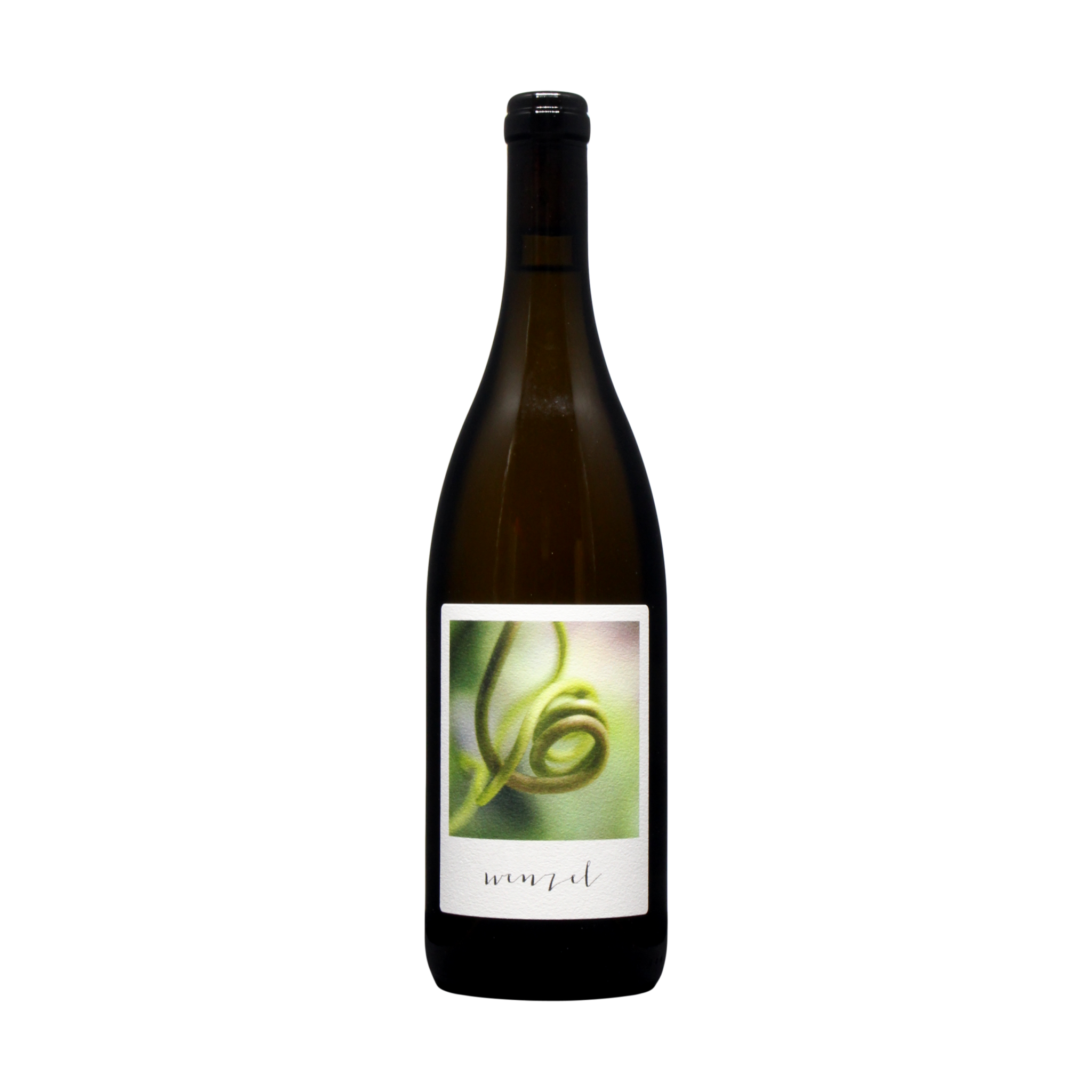 Furmint Stockkultur 2023